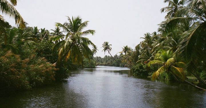 thrikunnapuzha-backwater